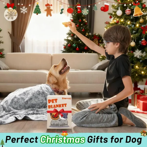 Couverture Douce et Lavable pour Chien - Bouledogue Avenue https://bouledogueavenue.com/wp-content/uploads/2026/08/Se3b81b4e24d04316a0624befcaf8f58bK.webp