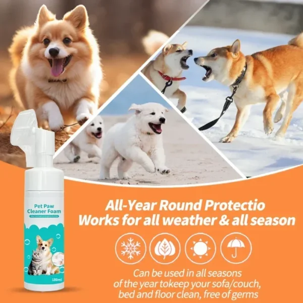 Mousse Nettoyante pour Pattes 150ml - Bouledogue Avenue https://bouledogueavenue.com/wp-content/uploads/2026/08/S54a2b3e090344d0c9689ee9f72f34e7c6.webp