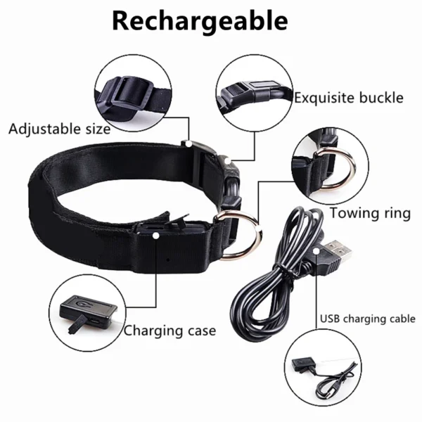 Collier Lumineux LED Rechargeable USB pour Chien 25 Collier Lumineux LED Rechargeable USB pour Chien - Bouledogue Avenue https://bouledogueavenue.com/wp-content/uploads/2026/08/Se8c8349e48ed4d5987e1eac04cf22a41c.webp