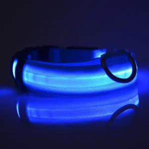 Laisse LED Lumineuse pour Sorties Nocturnes 39 Laisse LED Lumineuse pour Sorties Nocturnes – Image 17