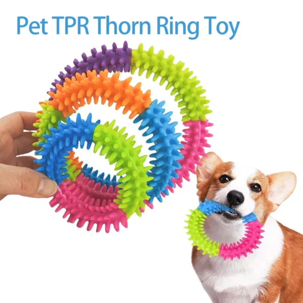 S90e2a91753e6498ab5d68a5093ce5df1N.webp Anneau Picots pour Chien - Jeu et Nettoyage des Dents - Bouledogue Avenue https://bouledogueavenue.com/wp-content/uploads/2026/08/S90e2a91753e6498ab5d68a5093ce5df1N.webp