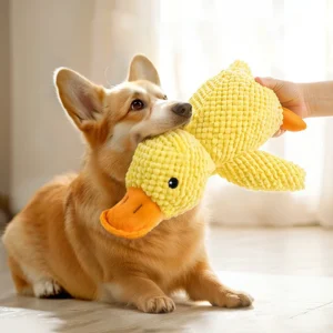 Jouet à Mâcher Résistant avec Couinement pour Chien – Image 22