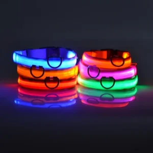 Laisse LED Lumineuse pour Sorties Nocturnes 25 Laisse LED Lumineuse pour Sorties Nocturnes – Image 3