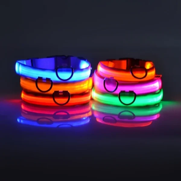 Laisse LED Lumineuse pour Sorties Nocturnes 2 Laisse LED Lumineuse pour Sorties Nocturnes - Bouledogue Avenue https://bouledogueavenue.com/wp-content/uploads/2026/08/S737c02cfd4b74daab2aaac83ec5a8407g.webp