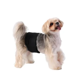 Couches Lavables Respirantes pour Chien Mâle - Lot de 3 – Image 5