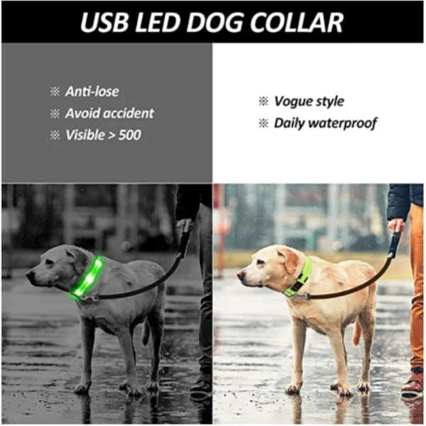 Collier Lumineux LED Rechargeable USB pour Chien 34 Collier Lumineux LED Rechargeable USB pour Chien - Bouledogue Avenue https://bouledogueavenue.com/wp-content/uploads/2026/08/Se8c8349e48ed4d5987e1eac04cf22a41c.webp