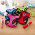 Laisse et Collier en Polyester Réglable pour Chien - Bouledogue Avenue https://bouledogueavenue.com/wp-content/uploads/2026/08/S98c1894665d34252af67ee2abb9ba34eX.webp