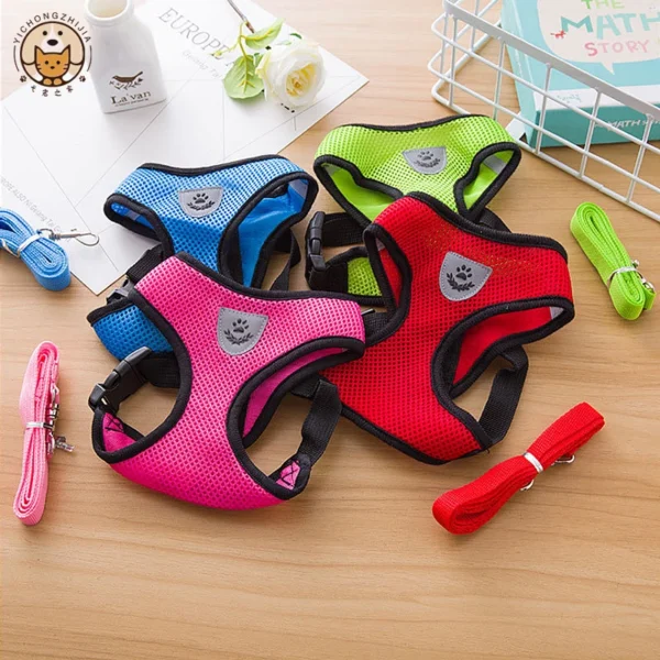 Laisse et Collier en Polyester Réglable pour Chien - Bouledogue Avenue https://bouledogueavenue.com/wp-content/uploads/2026/08/S98c1894665d34252af67ee2abb9ba34eX.webp