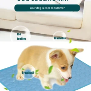 Tapis Rafraîchissant pour Chien - Spécial Été – Image 13