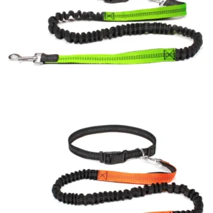 Laisse Mains Libres avec Ceinture Ajustable pour Chien – Image 14