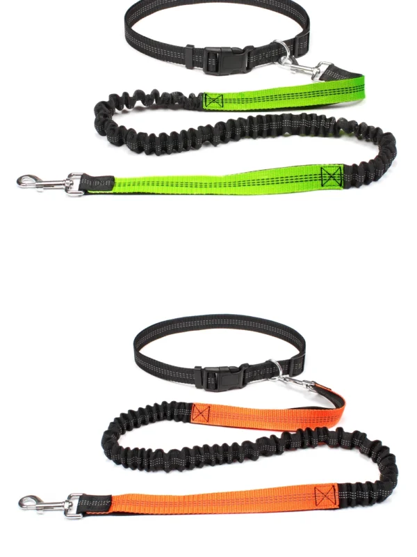 Laisse Mains Libres avec Ceinture Ajustable pour Chien - Bouledogue Avenue https://bouledogueavenue.com/wp-content/uploads/2026/08/S0e92f788fe5f456d9b450d036d9dfc63L.webp