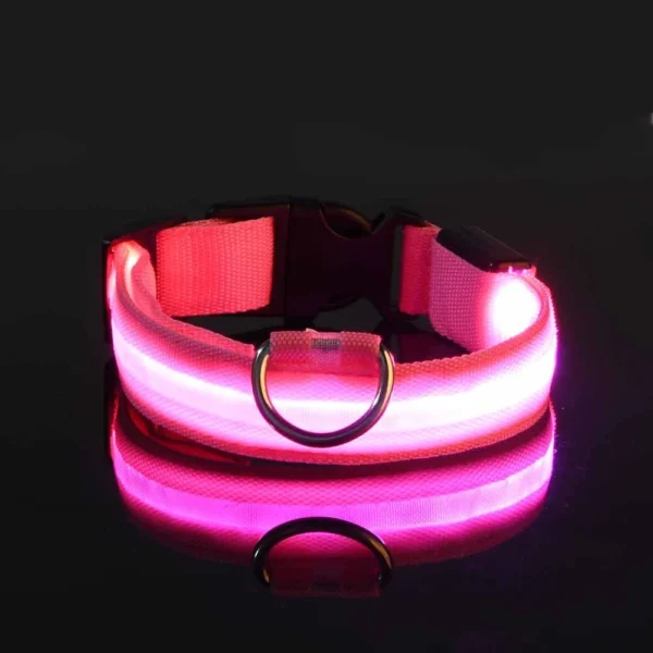 Laisse LED Lumineuse pour Sorties Nocturnes 6 Laisse LED Lumineuse pour Sorties Nocturnes - Bouledogue Avenue https://bouledogueavenue.com/wp-content/uploads/2026/08/S737c02cfd4b74daab2aaac83ec5a8407g.webp