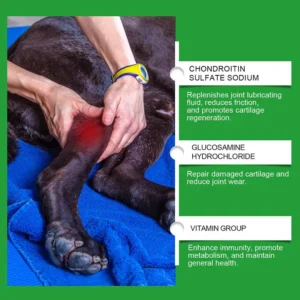 Complément Articulations pour Chien - 80 Comprimés – Image 19