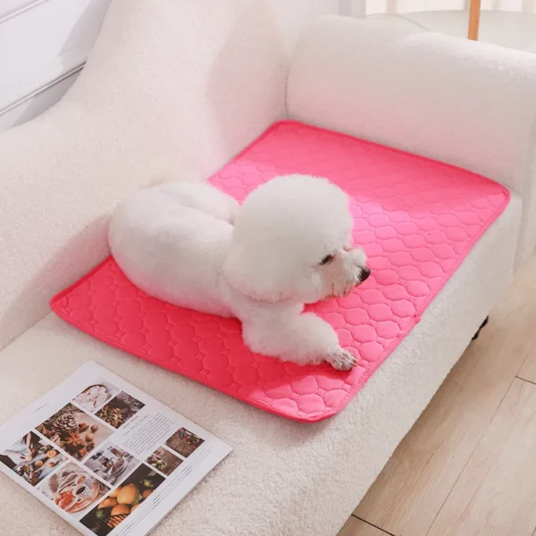 Tapis Absorbant Lavable pour Chien - Éducation Propreté - Bouledogue Avenue https://bouledogueavenue.com/wp-content/uploads/2026/08/S4d89cec7a470447393f3ef45459c1354d.webp
