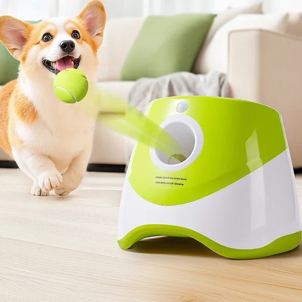 Sadd7a55d55ac4e238d0df6a7179c5dcbw.webp Lanceur de Balle Automatique pour Chien - Bouledogue Avenue https://bouledogueavenue.com/wp-content/uploads/2026/08/Sadd7a55d55ac4e238d0df6a7179c5dcbw.webp