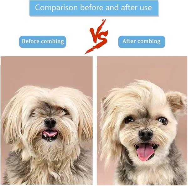 Brosse Anti-Poils pour Chien à Poil Long ou Court - Bouledogue Avenue https://bouledogueavenue.com/wp-content/uploads/2026/08/S6021874acceb4e58b32bc037ca0e35c92.webp