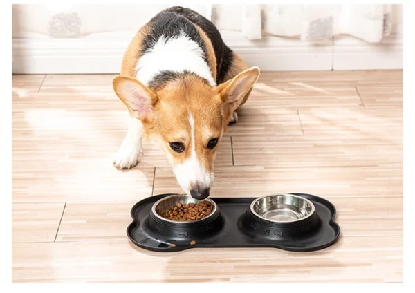 Gamelle Double Anti-Éclaboussure avec Base Silicone - Bouledogue Avenue https://bouledogueavenue.com/wp-content/uploads/2026/08/Sa0f9197d5fd843b283e476ca4e76893aP.webp