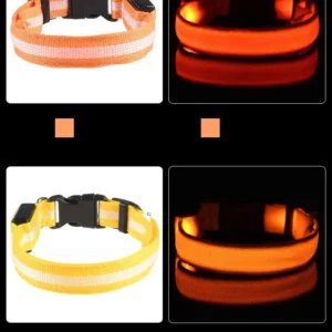 Laisse LED Lumineuse pour Sorties Nocturnes 45 Laisse LED Lumineuse pour Sorties Nocturnes – Image 23