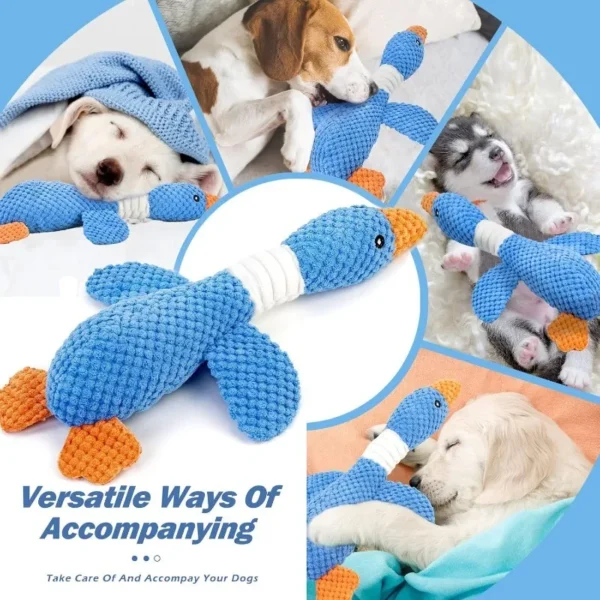 Jouet à Mâcher Résistant avec Couinement pour Chien - Bouledogue Avenue https://bouledogueavenue.com/wp-content/uploads/2026/08/S482b0daf072c4967967f8c2141a22e4aM.webp