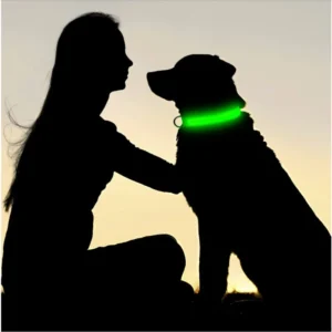 Collier Lumineux LED Rechargeable USB pour Chien 57 Collier Lumineux LED Rechargeable USB pour Chien – Image 22