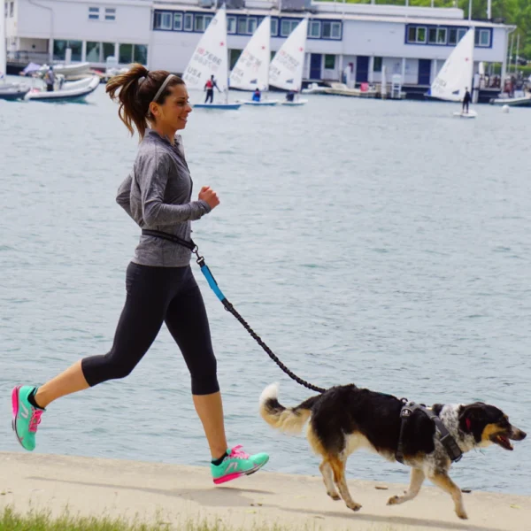 Laisse Mains Libres avec Ceinture Ajustable pour Chien - Bouledogue Avenue https://bouledogueavenue.com/wp-content/uploads/2026/08/S0e92f788fe5f456d9b450d036d9dfc63L.webp