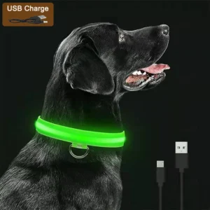 Collier Lumineux LED Rechargeable USB pour Chien 49 Collier Lumineux LED Rechargeable USB pour Chien – Image 14