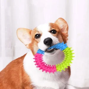 Anneau Picots pour Chien - Jeu et Nettoyage des Dents 28 Anneau Picots pour Chien - Jeu et Nettoyage des Dents – Image 14