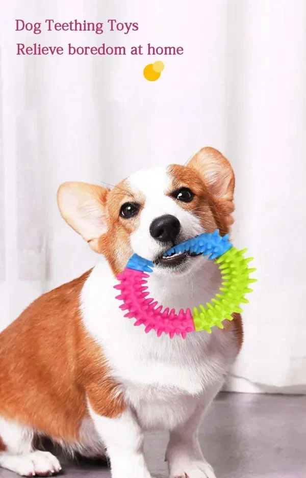 Anneau Picots pour Chien - Jeu et Nettoyage des Dents 13 Anneau Picots pour Chien - Jeu et Nettoyage des Dents - Bouledogue Avenue https://bouledogueavenue.com/wp-content/uploads/2026/08/S90e2a91753e6498ab5d68a5093ce5df1N.webp
