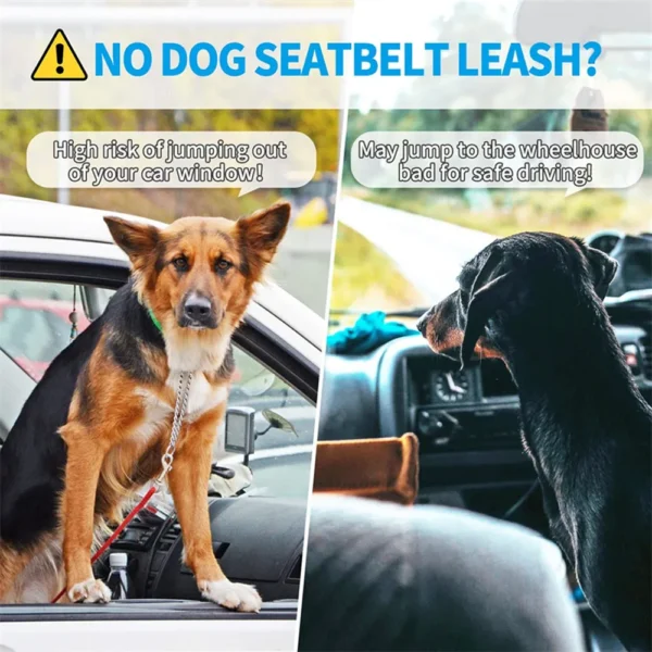 Harnais Ceinture de Sécurité Réfléchissant pour Voiture - Bouledogue Avenue https://bouledogueavenue.com/wp-content/uploads/2026/08/Sce47c3e5fa054b77950f74bcfe0a8303G.webp