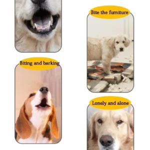 Anneau Picots pour Chien - Jeu et Nettoyage des Dents 26 Anneau Picots pour Chien - Jeu et Nettoyage des Dents – Image 12