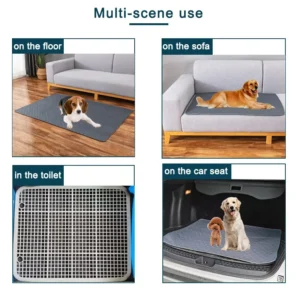 Tapis Absorbant Lavable pour Chien - Éducation Propreté – Image 4