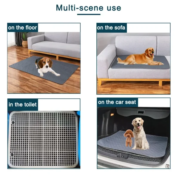 Tapis Absorbant Lavable pour Chien - Éducation Propreté - Bouledogue Avenue https://bouledogueavenue.com/wp-content/uploads/2026/08/S4d89cec7a470447393f3ef45459c1354d.webp