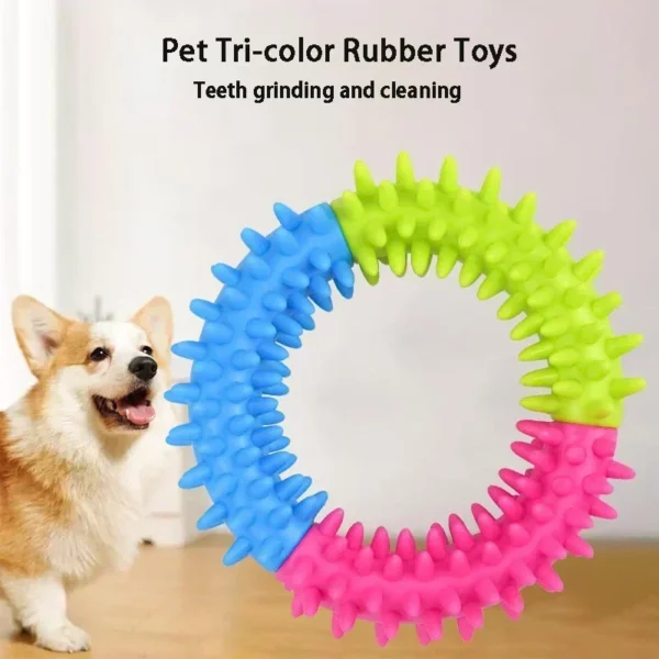 Anneau Picots pour Chien - Jeu et Nettoyage des Dents 4 Anneau Picots pour Chien - Jeu et Nettoyage des Dents - Bouledogue Avenue https://bouledogueavenue.com/wp-content/uploads/2026/08/S90e2a91753e6498ab5d68a5093ce5df1N.webp