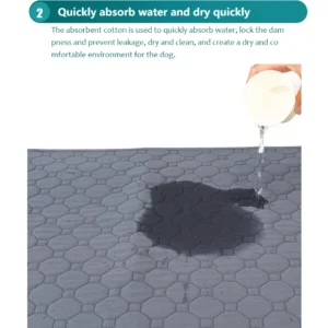 Tapis Absorbant Lavable pour Chien - Éducation Propreté – Image 28