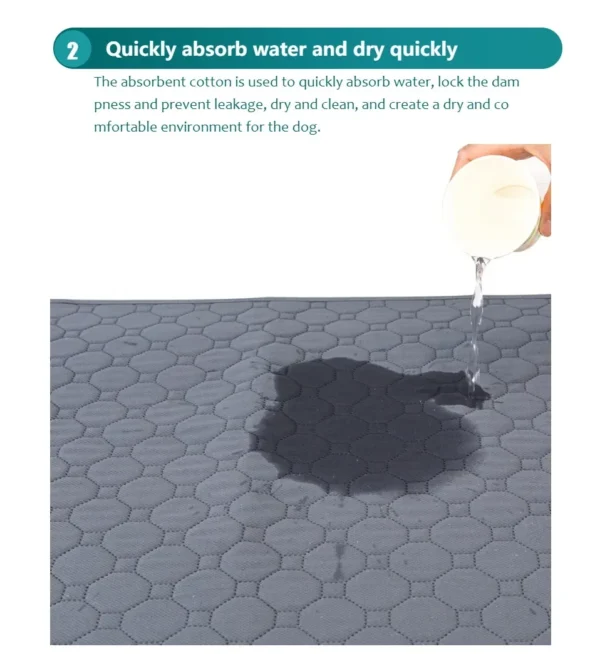 Tapis Absorbant Lavable pour Chien - Éducation Propreté - Bouledogue Avenue https://bouledogueavenue.com/wp-content/uploads/2026/08/S4d89cec7a470447393f3ef45459c1354d.webp