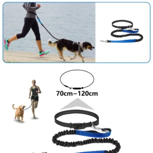 Laisse Mains Libres avec Ceinture Ajustable pour Chien – Image 8