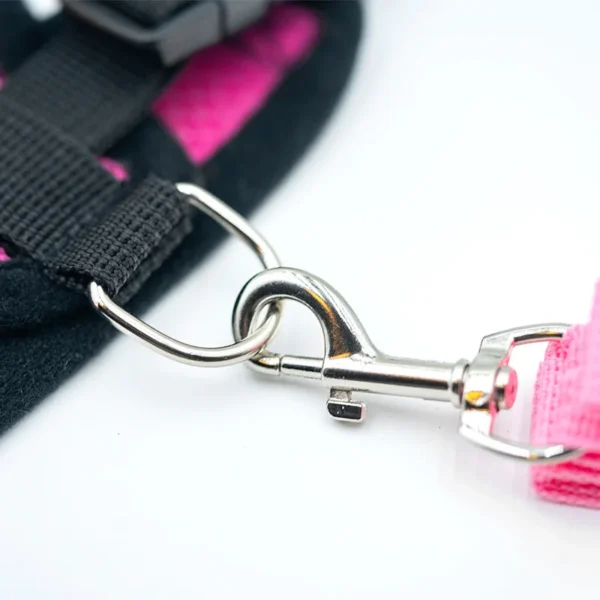 Laisse et Collier en Polyester Réglable pour Chien - Bouledogue Avenue https://bouledogueavenue.com/wp-content/uploads/2026/08/S98c1894665d34252af67ee2abb9ba34eX.webp