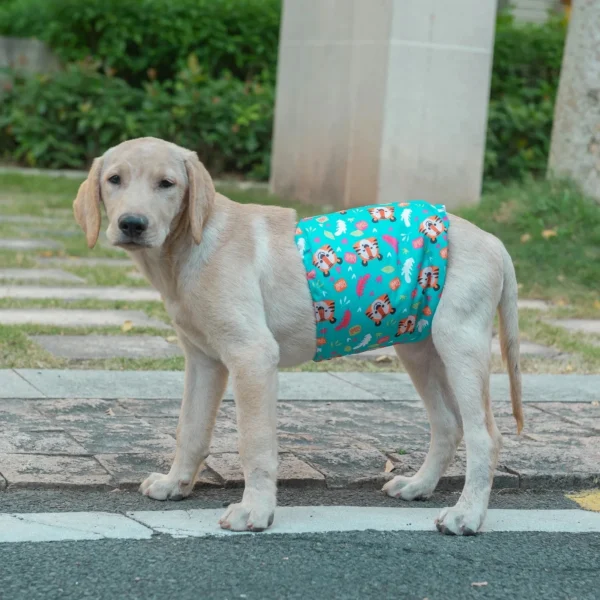 Couche Lavable pour Chien Mâle - Modèle au Choix - Bouledogue Avenue https://bouledogueavenue.com/wp-content/uploads/2026/08/S1f17f92097a745bea107ef25c0b38562N.webp