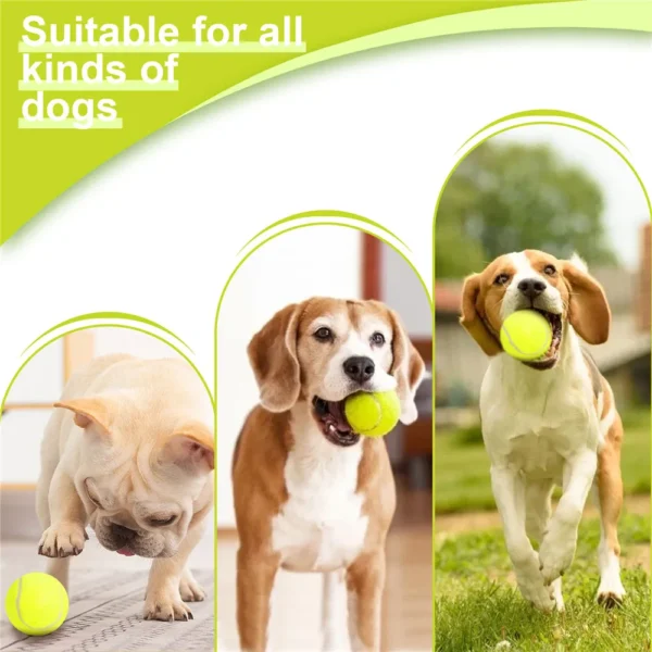 Lanceur de Balle Automatique pour Chien 4 Lanceur de Balle Automatique pour Chien - Bouledogue Avenue https://bouledogueavenue.com/wp-content/uploads/2026/08/Sadd7a55d55ac4e238d0df6a7179c5dcbw.webp