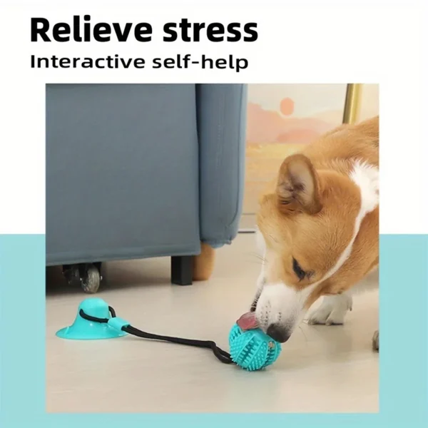 Jouet à Ventouse avec Distributeur de Friandises pour Chien 4 Jouet à Ventouse avec Distributeur de Friandises pour Chien - Bouledogue Avenue https://bouledogueavenue.com/wp-content/uploads/2026/08/S15f4ca0077db4ee380319d16a810d936C.webp