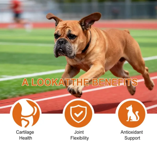 Complément Articulations pour Chien - 100 Comprimés à Croquer - Bouledogue Avenue https://bouledogueavenue.com/wp-content/uploads/2026/08/Sc6255c399be942af9d4b39f5f310914d7.webp