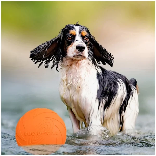Frisbee en Silicone Souple et Résistant pour Chien 1 Frisbee en Silicone Souple et Résistant pour Chien - Bouledogue Avenue https://bouledogueavenue.com/wp-content/uploads/2026/08/S608878bf93b94a8d8b37122288f11807Y.webp