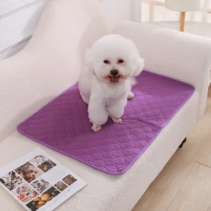 Tapis Absorbant Lavable pour Chien - Éducation Propreté – Image 19