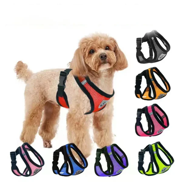 Laisse et Collier en Polyester Réglable pour Chien - Bouledogue Avenue https://bouledogueavenue.com/wp-content/uploads/2026/08/S98c1894665d34252af67ee2abb9ba34eX.webp