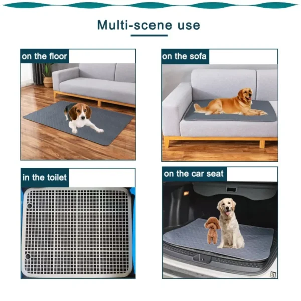 Tapis Absorbant Lavable pour Chien - Éducation Propreté - Bouledogue Avenue https://bouledogueavenue.com/wp-content/uploads/2026/08/S4d89cec7a470447393f3ef45459c1354d.webp