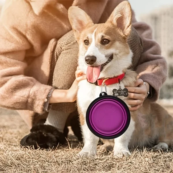 Gamelle Pliable en TPR pour Chien - Format Voyage 15 Gamelle Pliable en TPR pour Chien - Format Voyage - Bouledogue Avenue https://bouledogueavenue.com/wp-content/uploads/2026/08/Scbc769e8b0dc41909249b98200fbcf25w.webp