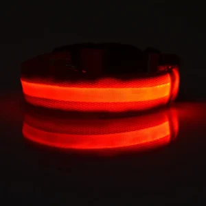 Laisse LED Lumineuse pour Sorties Nocturnes 43 Laisse LED Lumineuse pour Sorties Nocturnes – Image 21
