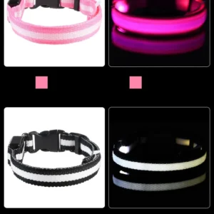 Laisse LED Lumineuse pour Sorties Nocturnes 37 Laisse LED Lumineuse pour Sorties Nocturnes – Image 15