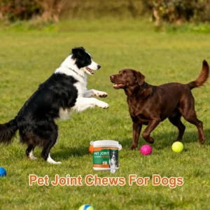 Complément Articulations pour Chien - 100 Comprimés à Croquer – Image 3
