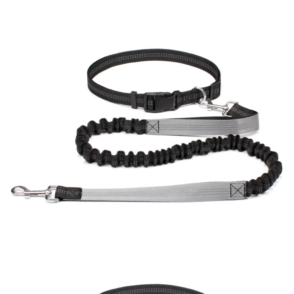 Laisse Mains Libres avec Ceinture Ajustable pour Chien - Bouledogue Avenue https://bouledogueavenue.com/wp-content/uploads/2026/08/S0e92f788fe5f456d9b450d036d9dfc63L.webp